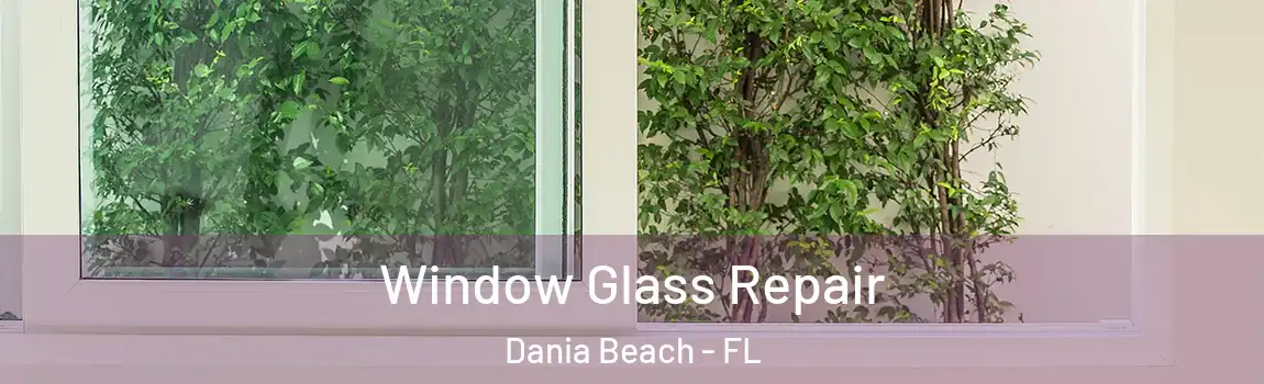 Window Glass Repair Dania Beach - FL