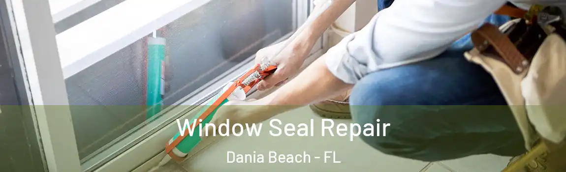  Window Seal Repair Dania Beach - FL